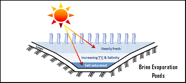 Mass transfer in salt production.
