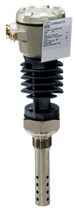 Endress Hauser CLS13 Analog conductivity sensor Condumax