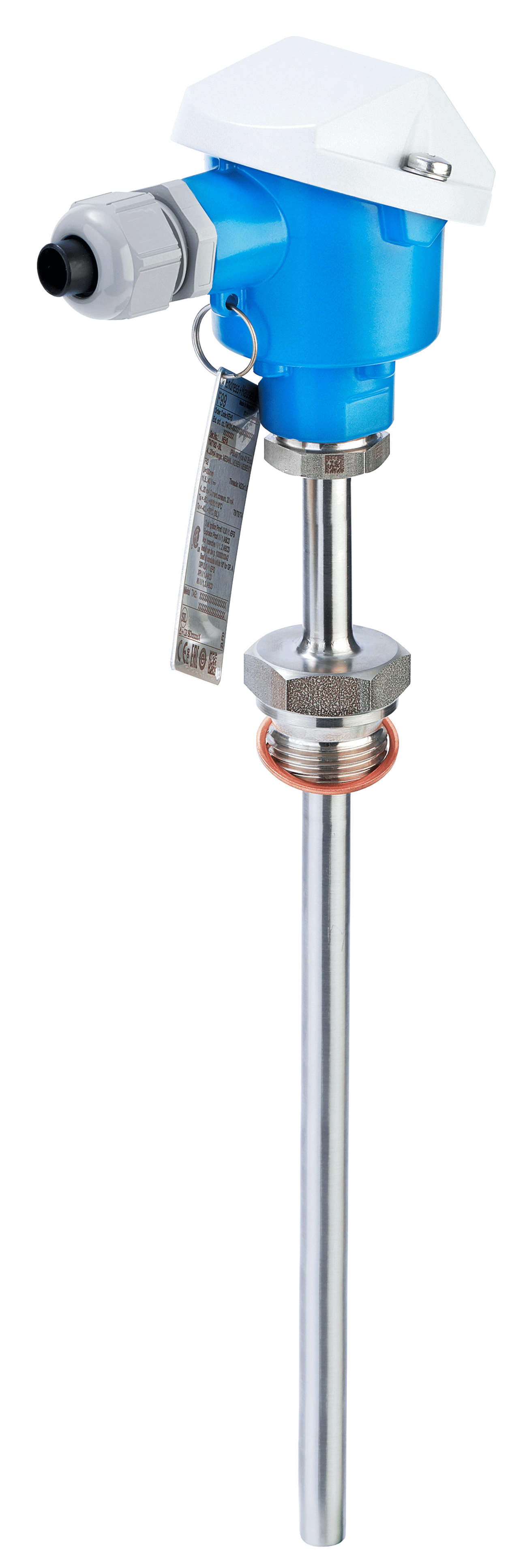 Endress Hauser iTHERM Moduline TM101 RTD or thermocouple temperature probe for direct